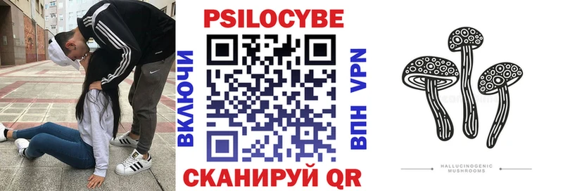 ОМГ ОМГ зеркало Александровск-Сахалинский Псилоцибиновые грибы прущие грибы